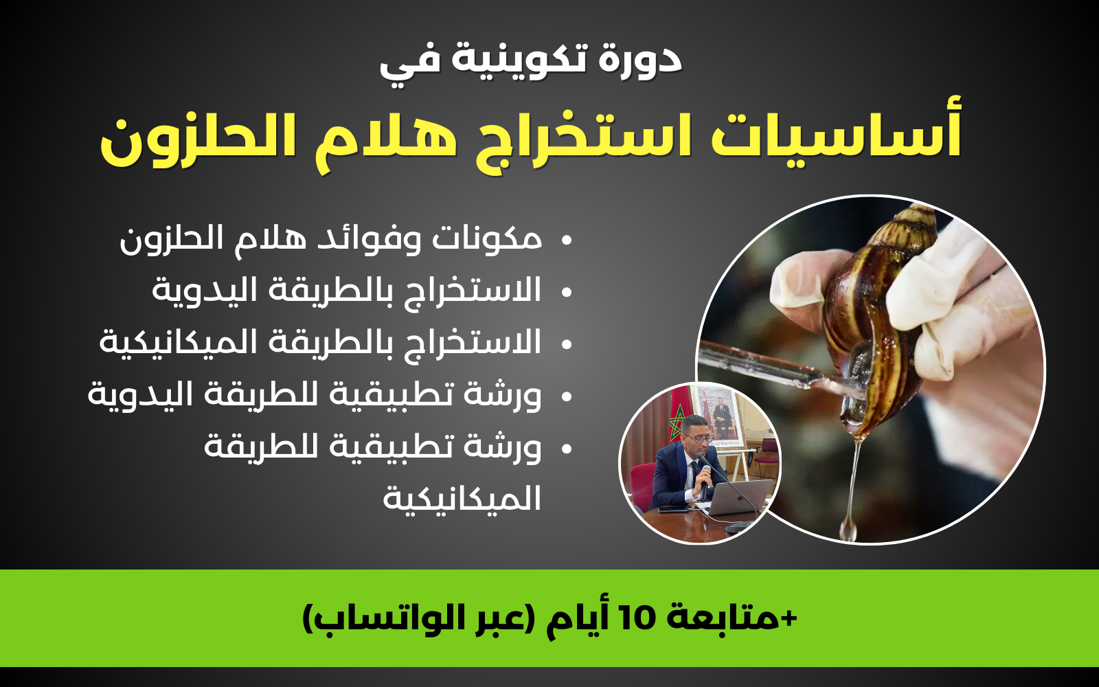 أساسيات استخراج هلام الحلزون